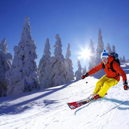 Hexagon A02 아파트 Loučná pod Klínovcem