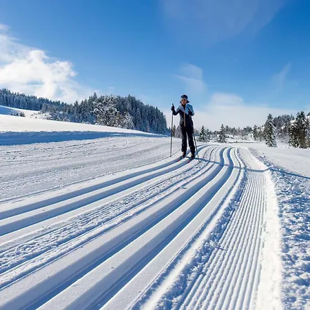 Hexagon A02 Loučná pod Klínovcem