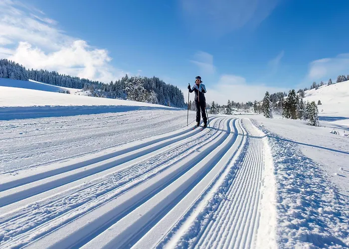 Hexagon A02 Loučná pod Klínovcem