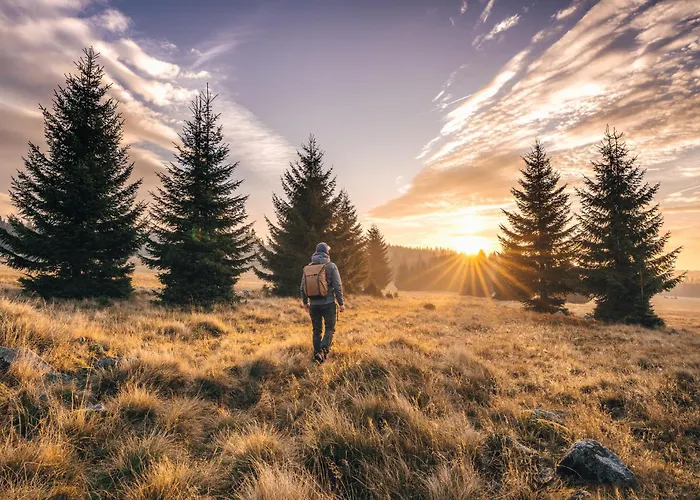 Appartamento Hexagon A02 *