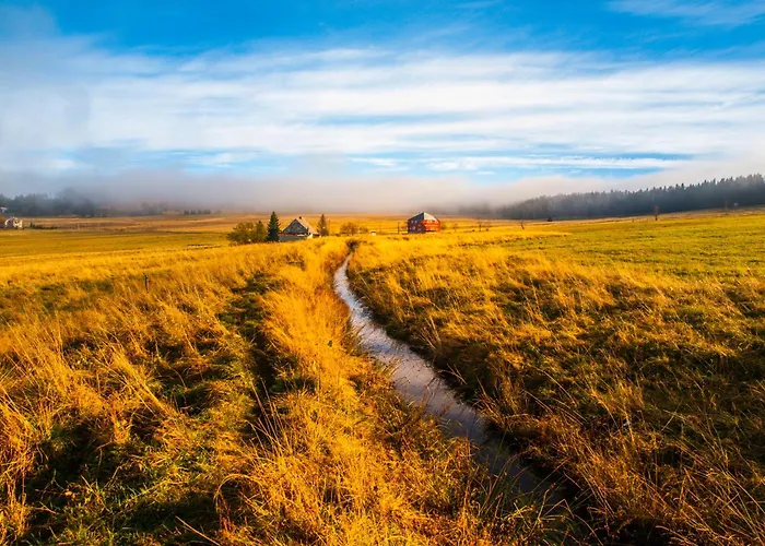 Hexagon A02 Appartement *